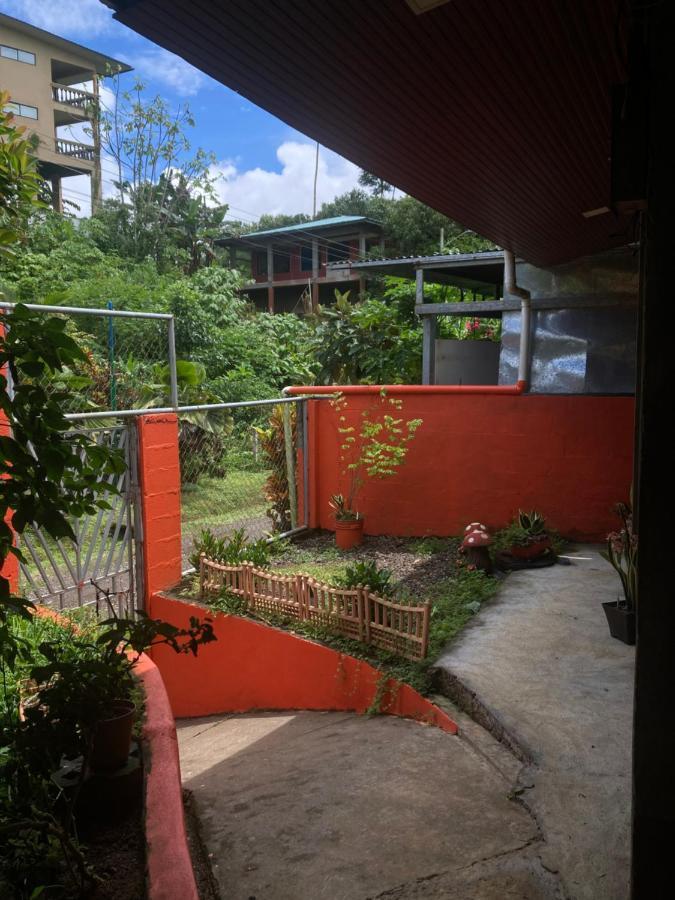 Pez Espada Tours Y Cabinas Drake Bay Exterior photo