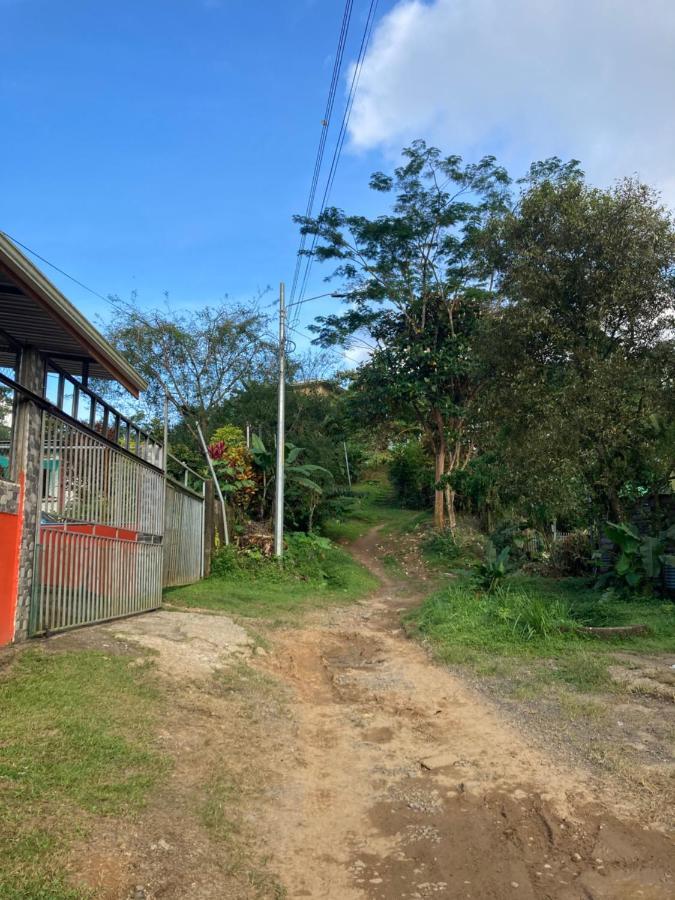 Pez Espada Tours Y Cabinas Drake Bay Exterior photo