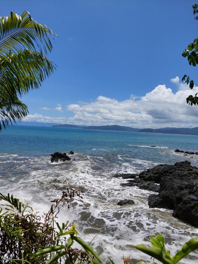 Pez Espada Tours Y Cabinas Drake Bay Exterior photo