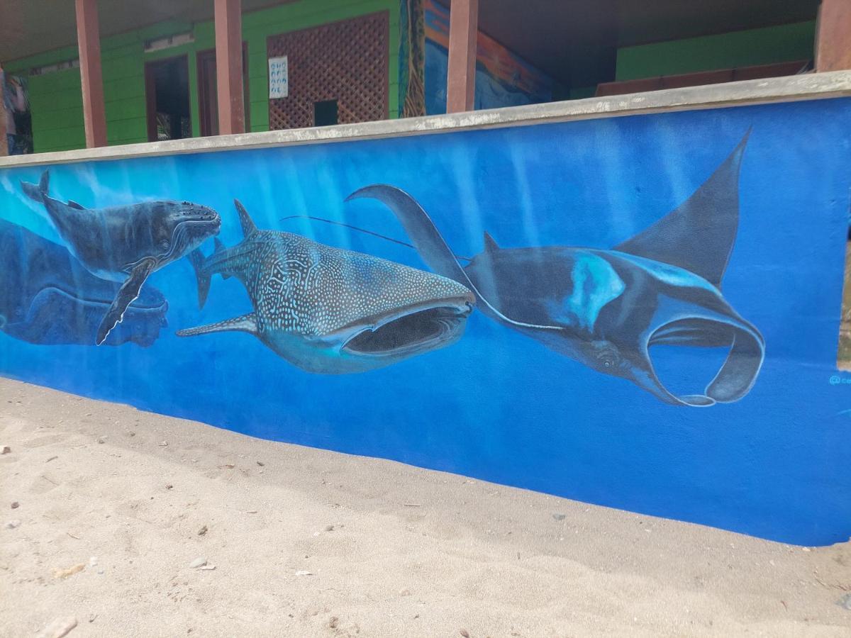 Pez Espada Tours Y Cabinas Drake Bay Exterior photo